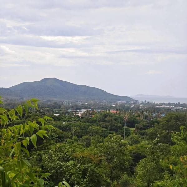 วิวทะเลบสงเสร่ - วิวเขาบางเสร่ ตำบลบางเสร่ อำเภอสัตหีบ จังหวัดชลบุรี, Chon Buri (Pattaya), Bang Sa-re, Sattahip, Chon Buri (Pattaya), , 111,192 sqm, Land For Sale, by Nichapa Phiachan, 500516802 - DDproperty.com