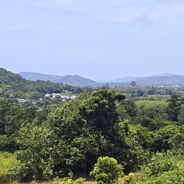วิวทะเล - ติดภูเขา ตำบลบางเสร่ อำเภอสัตหีบ จังหวัดชลบุรี, Chon Buri (Pattaya), ใกล้ถนนเส้น 332 - ซอยวัดหุปเขาสวรรค์ ทุ่งโป่ง, Bang Sa-re, Sattahip, Chon Buri (Pattaya), , 65,352 sqm, Land For Sale, by Nichapa Phiachan, 500516811 - DDproperty.com