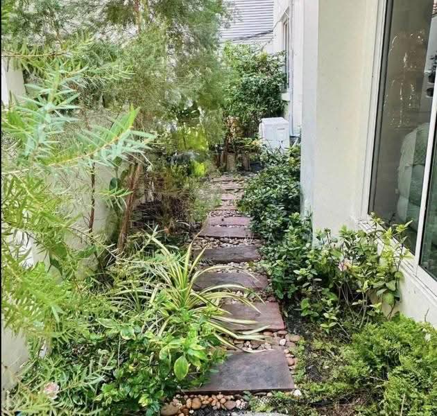 ทาวน์โฮมสุขุมวิท31, Bangkok, Khlong Tan Nua, Watthana, Bangkok, 5 Bedrooms, 350 sqm, Townhouse For Rent, by Thanitcha Kangkasuwanno, 500516842 - DDproperty.com