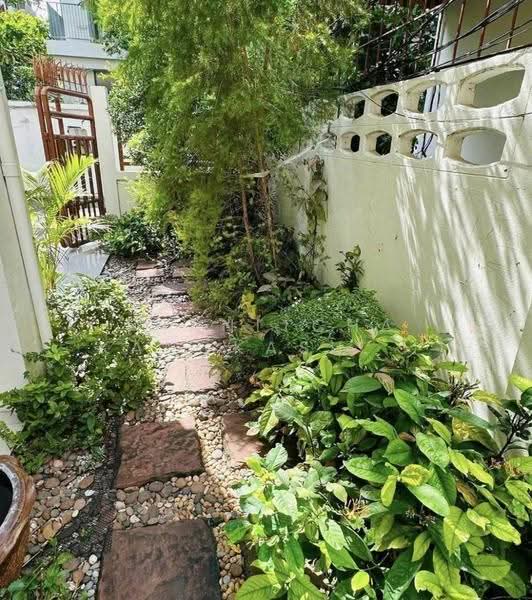 ทาวน์โฮมสุขุมวิท31, Bangkok, Khlong Tan Nua, Watthana, Bangkok, 5 Bedrooms, 350 sqm, Townhouse For Rent, by Thanitcha Kangkasuwanno, 500516842 - DDproperty.com