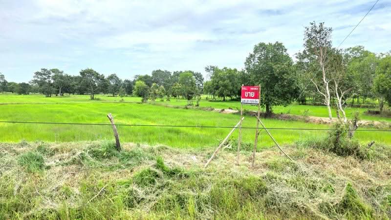 ที่ดินนาดูน มหาสารคาม, Maha Sarakham, Nong Phai, Na Dun, Maha Sarakham, , 37,464 sqm, Land For Sale, by The Best Property ทองใบ, 500516849 - DDproperty.com