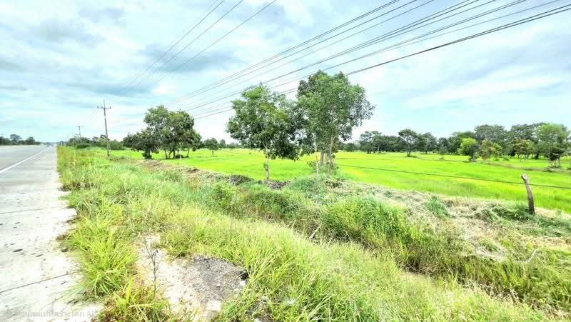 ที่ดินนาดูน มหาสารคาม, Maha Sarakham, Nong Phai, Na Dun, Maha Sarakham, , 37,464 sqm, Land For Sale, by The Best Property ทองใบ, 500516849 - DDproperty.com