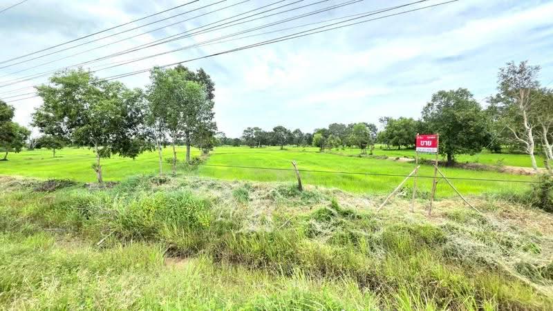 ที่ดินนาดูน มหาสารคาม, Maha Sarakham, Nong Phai, Na Dun, Maha Sarakham, , 37,464 sqm, Land For Sale, by The Best Property ทองใบ, 500516849 - DDproperty.com