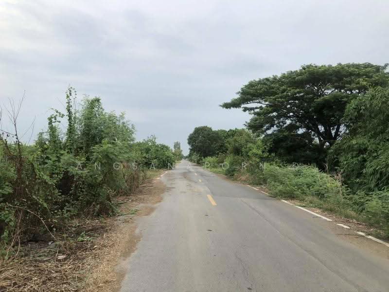 ที่ดิน 89-3-0 ไร่ติดถนนเลียบคลอง6 ฝั่งตะวันออก(คลองหลวง), ปทุมธานี, คลองหก, คลองหลวง, ปทุมธานี, 143,600 ตร.ม., ที่ดิน ขาย, โดย Angsanaporn D, 500516928 - DDproperty.com