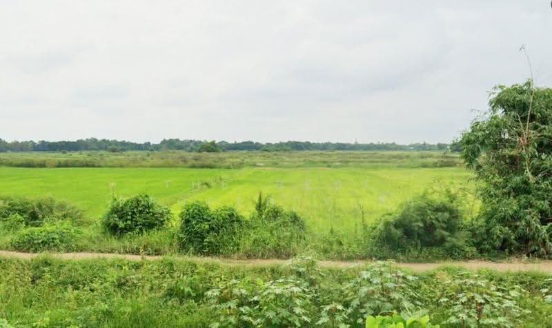 ที่ดินมหาราช พระนครศรีอยุธยา, Phra Nakhon Si Ayutthaya, Hua Phai, Maha Rat, Phra Nakhon Si Ayutthaya, , 800 sqm, Land For Sale, by The Best Property ดิว, 500516980 - DDproperty.com