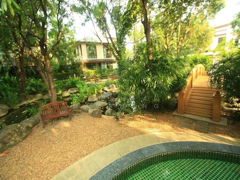 Baan Sansiri Sukhumvit 67 : บ้านแสนสิริ สุขุมวิท 67, กรุงเทพ, 32 ซอย สุขุมวิท 67, พระโขนงเหนือ, วัฒนา, กรุงเทพ, 394 ตร.ม., บ้านเดี่ยว ให้เช่า, โดย Kanrutai Dawruang, 500516986 - DDproperty.com