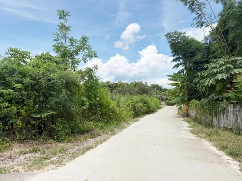 ที่ดินแม่วาง เชียงใหม่, เชียงใหม่, ดอนเปา, แม่วาง, เชียงใหม่, 956 ตร.ม., ที่ดิน ขาย, โดย The Best Property บอย, 500516988 - DDproperty.com
