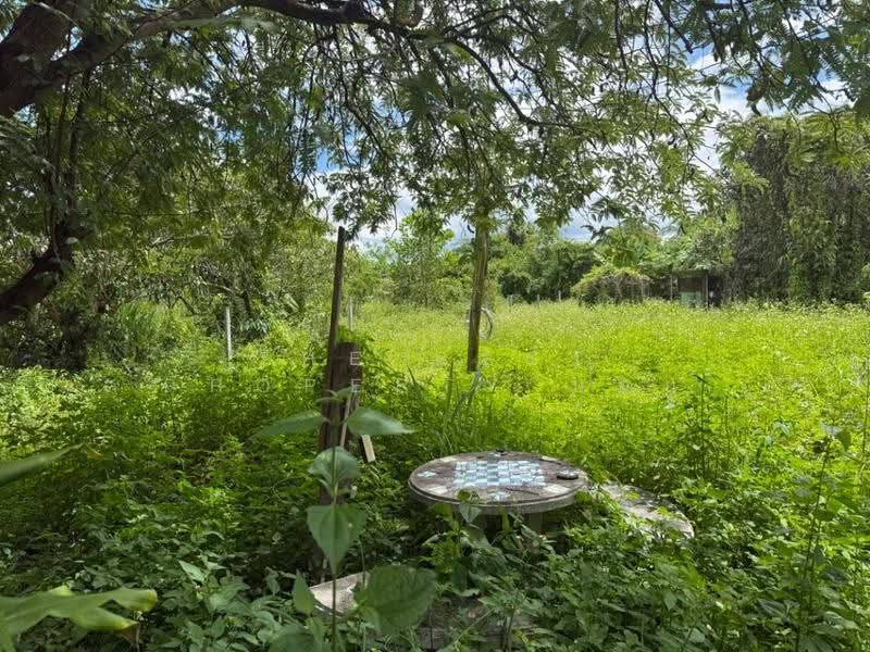 ที่ดินแม่วาง เชียงใหม่, Chiang Mai, Don Pao, Mae Wang, Chiang Mai, , 956 sqm, Land For Sale, by The Best Property บอย, 500516988 - DDproperty.com