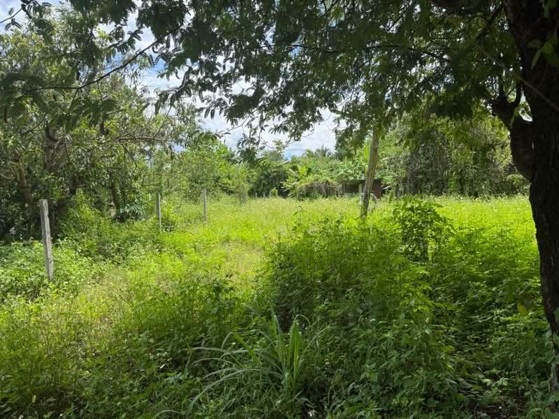 ที่ดินแม่วาง เชียงใหม่, Chiang Mai, Don Pao, Mae Wang, Chiang Mai, , 956 sqm, Land For Sale, by The Best Property บอย, 500516988 - DDproperty.com
