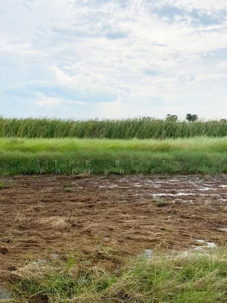 ที่ดินบางน้ำเปรี้ยว ฉะเชิงเทรา, Chachoengsao, Don Koka, Bang Nam Prieo, Chachoengsao, , 14,302 sqm, Land For Sale, by The Best Property เด็ดเดี่ยว, 500516998 - DDproperty.com