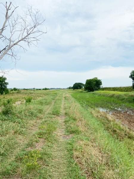 ที่ดินบางน้ำเปรี้ยว ฉะเชิงเทรา, Chachoengsao, Don Koka, Bang Nam Prieo, Chachoengsao, , 14,302 sqm, Land For Sale, by The Best Property เด็ดเดี่ยว, 500516998 - DDproperty.com