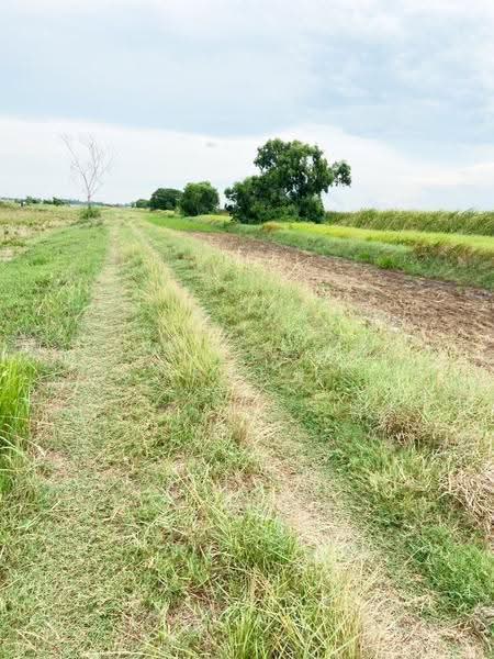 ที่ดินบางน้ำเปรี้ยว ฉะเชิงเทรา, Chachoengsao, Don Koka, Bang Nam Prieo, Chachoengsao, , 14,302 sqm, Land For Sale, by The Best Property เด็ดเดี่ยว, 500516998 - DDproperty.com