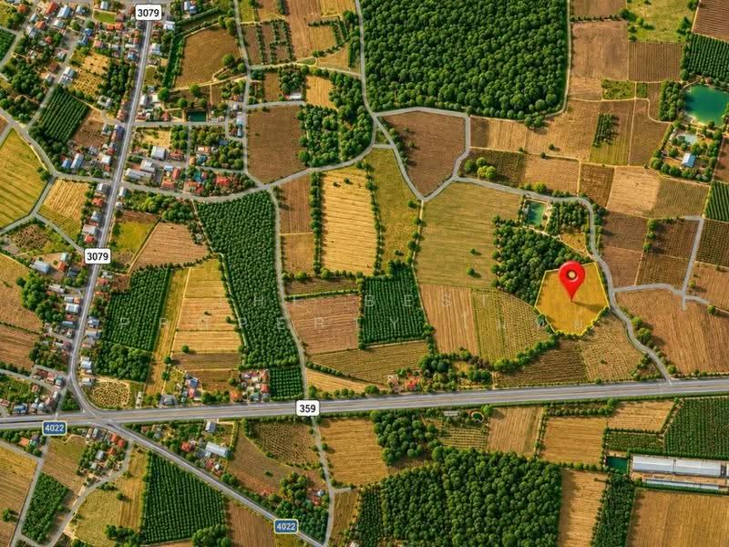 ที่ดินศรีมหาโพธิ ปราจีนบุรี, Prachin Buri, Krok Som Bun, Sri Maha Pho, Prachin Buri, , 31,828 sqm, Land For Sale, by The Best Property โมทย์, 500517010 - DDproperty.com