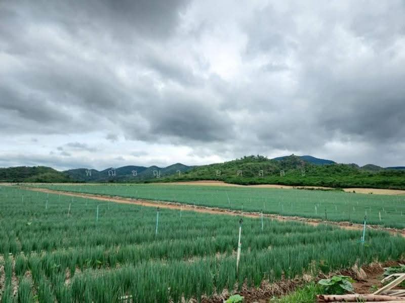 ไม่พบโครงการ, กาญจนบุรี, , หนองปรือ, กาญจนบุรี, 594,364 ตร.ม., ที่ดิน ขาย, โดย พณิชญา ยศสละ, 500517019 - DDproperty.com