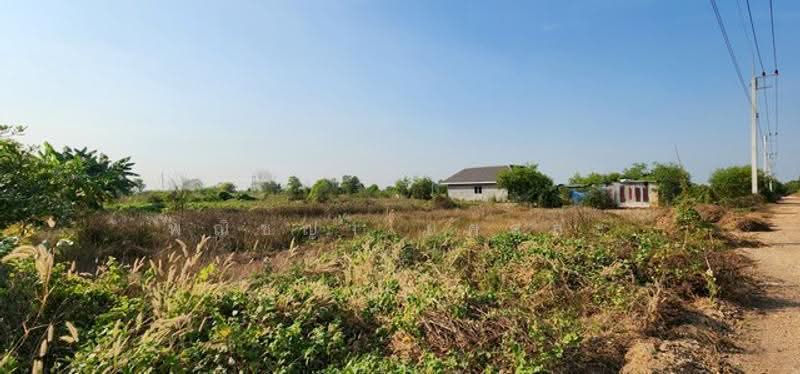 ไม่พบโครงการ, Nakhon Nayok, , Srisa Krabu, Ongkharak, Nakhon Nayok, , 1,600 sqm, Land For Sale, by Phanitchaya Yossala, 500517023 - DDproperty.com
