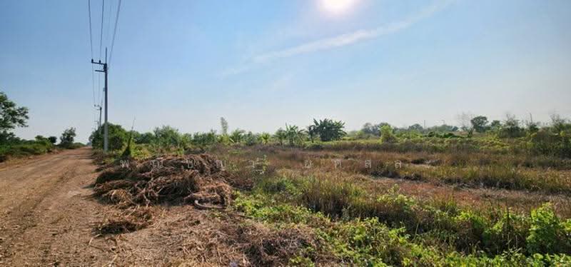 ไม่พบโครงการ, Nakhon Nayok, , Srisa Krabu, Ongkharak, Nakhon Nayok, , 1,600 sqm, Land For Sale, by Phanitchaya Yossala, 500517023 - DDproperty.com