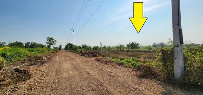 ไม่พบโครงการ, Nakhon Nayok, , Srisa Krabu, Ongkharak, Nakhon Nayok, , 1,600 sqm, Land For Sale, by Phanitchaya Yossala, 500517023 - DDproperty.com
