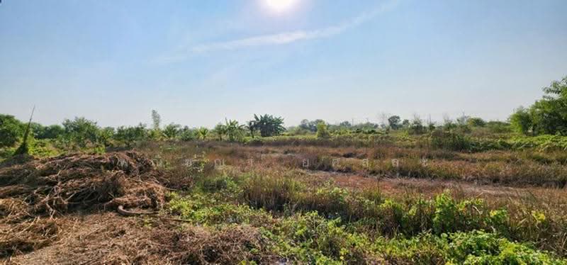 ไม่พบโครงการ, Nakhon Nayok, , Srisa Krabu, Ongkharak, Nakhon Nayok, , 1,600 sqm, Land For Sale, by Phanitchaya Yossala, 500517023 - DDproperty.com