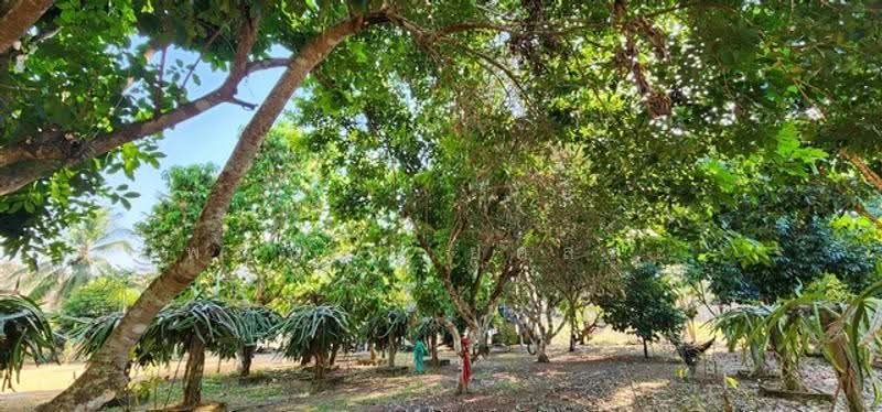 ไม่พบโครงการ, Kanchanaburi, , Hin Dat, Thong Pha Phum, Kanchanaburi, , 37,232 sqm, Land For Sale, by Phanitchaya Yossala, 500517030 - DDproperty.com