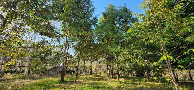 ไม่พบโครงการ, Kanchanaburi, , Hin Dat, Thong Pha Phum, Kanchanaburi, , 37,232 sqm, Land For Sale, by Phanitchaya Yossala, 500517030 - DDproperty.com