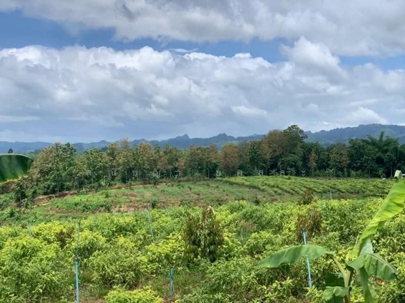 ไม่พบโครงการ, Kanchanaburi, , Hin Dat, Thong Pha Phum, Kanchanaburi, , 178,760 sqm, Land For Sale, by Phanitchaya Yossala, 500517035 - DDproperty.com