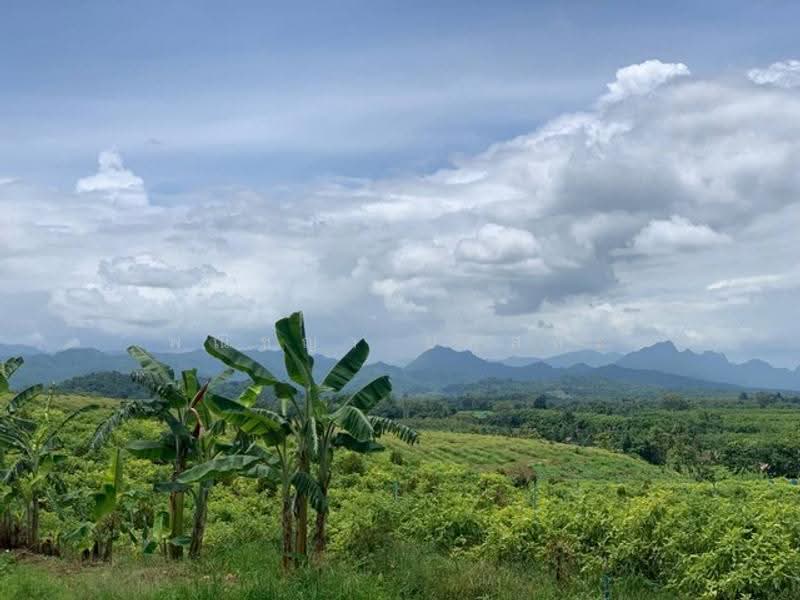 ไม่พบโครงการ, Kanchanaburi, , Hin Dat, Thong Pha Phum, Kanchanaburi, , 178,760 sqm, Land For Sale, by Phanitchaya Yossala, 500517035 - DDproperty.com