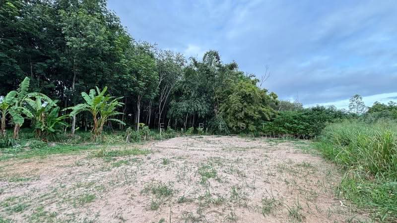 ที่ดินตะพง ระยอง, Rayong, Taphong, Muang Rayong, Rayong, , 352 sqm, Land For Sale, by The Best Property หนึ่ง, 500517044 - DDproperty.com