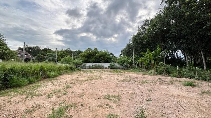 ที่ดินตะพง ระยอง, Rayong, Taphong, Muang Rayong, Rayong, , 352 sqm, Land For Sale, by The Best Property หนึ่ง, 500517044 - DDproperty.com