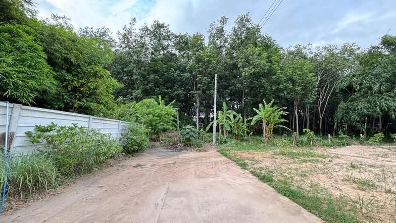 ที่ดินตะพง ระยอง, Rayong, Taphong, Muang Rayong, Rayong, , 352 sqm, Land For Sale, by The Best Property หนึ่ง, 500517044 - DDproperty.com