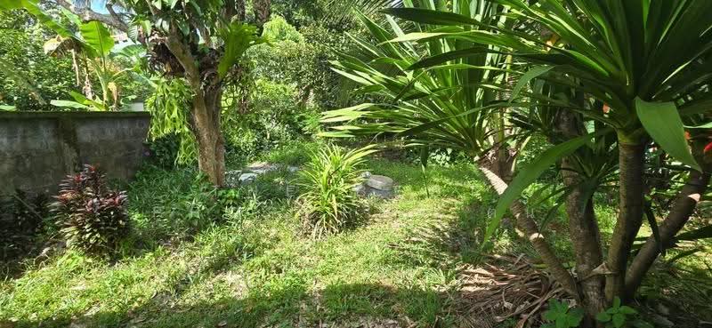 ที่ดินพร้อมสิ่งปลูกสร้างวังกระแจะ ตราด, Trat, Wang Krachae, Muang Trat, Trat, , 2,388 sqm, Land For Sale, by The Best Property ต้น, 500517110 - DDproperty.com