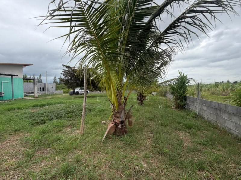 บ้านเดี่ยวพร้อมที่ดินท่าม่วง กาญจนบุรี, Kanchanaburi, Ban Mai, Tha Muang, Kanchanaburi, 2 Bedrooms, 150 sqm, Single Detached House For Sale, by The Best Property หนิง, 500517142 - DDproperty.com