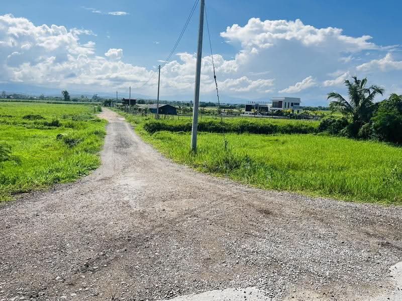 ที่ดินติดคลองชลประทาน ดินดี น้ำดี มีน้ำสมบูรณ์ตลอดปี จำนวน 4 ไร่, Chiang Mai, Mae Phaek Mai, San Sai, Chiang Mai, , 6,860 sqm, Land For Sale, by จุฑารัตน์ สิทธิสันติกุล, 500517174 - DDproperty.com