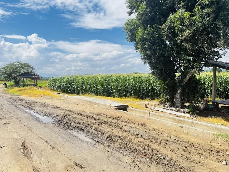ที่ดินติดคลองชลประทาน ดินดี น้ำดี มีน้ำสมบูรณ์ตลอดปี จำนวน 4 ไร่, Chiang Mai, Mae Phaek Mai, San Sai, Chiang Mai, , 6,860 sqm, Land For Sale, by จุฑารัตน์ สิทธิสันติกุล, 500517174 - DDproperty.com