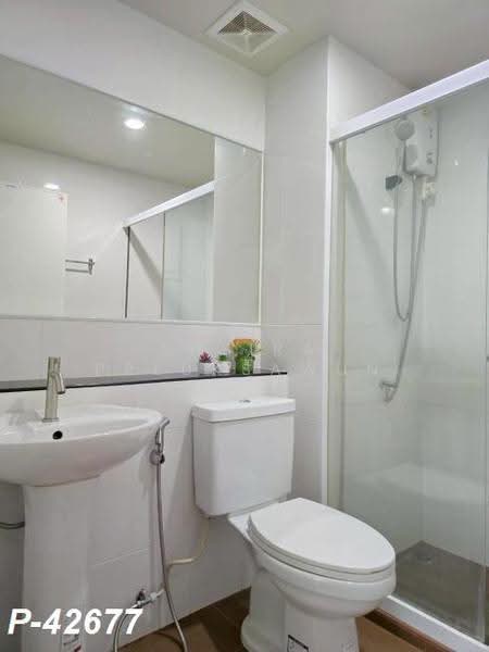 Regent Home Sukhumvit 81 : รีเจ้นท์ โฮม สุขุมวิท 81, กรุงเทพ, ซ. สุขุมวิท 81, สวนหลวง, กรุงเทพ, 28 ตร.ม., คอนโด ให้เช่า, โดย Susira Preuksawun, 500517424 - DDproperty.com