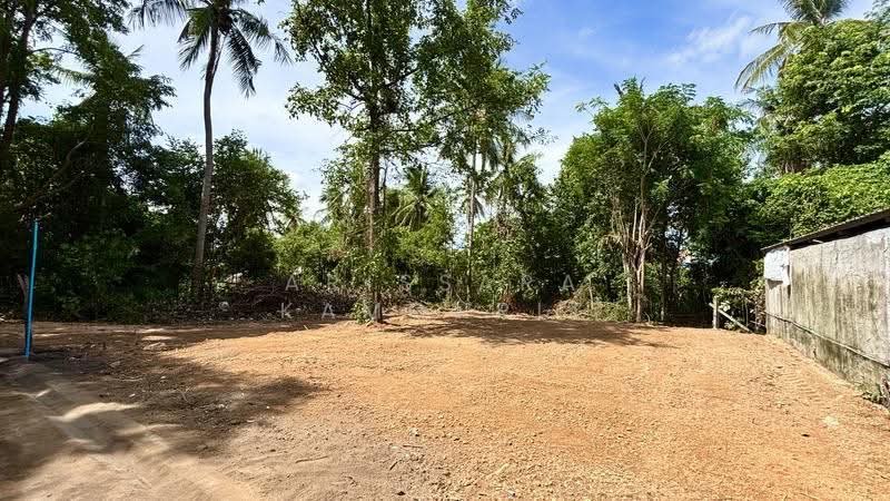 VACANT LAND FOR SALE – PONG, PATTAYA, Chon Buri (Pattaya), Poong, Bang Lamung (Pattaya), Chon Buri (Pattaya), , 200 sqm, Land For Sale, by Arissara Kamonrit, 500517484 - DDproperty.com