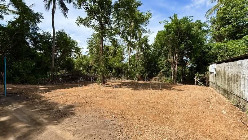 VACANT LAND FOR SALE – PONG, PATTAYA, Chon Buri (Pattaya), Poong, Bang Lamung (Pattaya), Chon Buri (Pattaya), , 200 sqm, Land For Sale, by Arissara Kamonrit, 500517484 - DDproperty.com