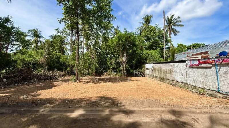 VACANT LAND FOR SALE – PONG, PATTAYA, Chon Buri (Pattaya), Poong, Bang Lamung (Pattaya), Chon Buri (Pattaya), , 200 sqm, Land For Sale, by Arissara Kamonrit, 500517484 - DDproperty.com