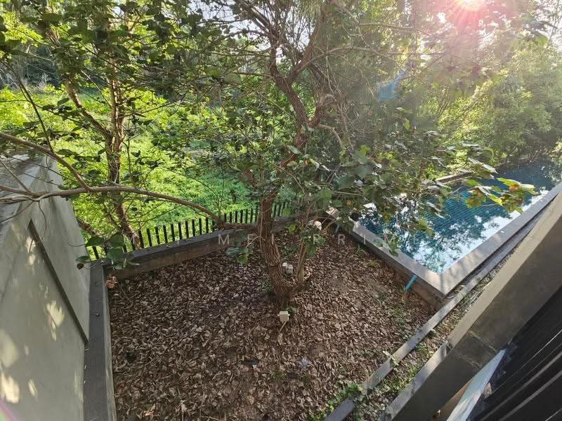 Zcape 2, Phuket, Thep Kasattri, Choeng Thale, Thalang, Phuket, 1 Bedroom, 32 sqm, Condo For Rent, by Mei Mei Prime, 500517551 - DDproperty.com