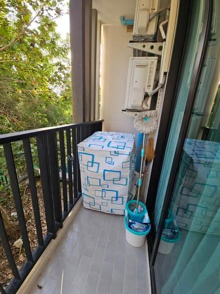 Zcape 2, Phuket, Thep Kasattri, Choeng Thale, Thalang, Phuket, 1 Bedroom, 32 sqm, Condo For Rent, by Mei Mei Prime, 500517551 - DDproperty.com