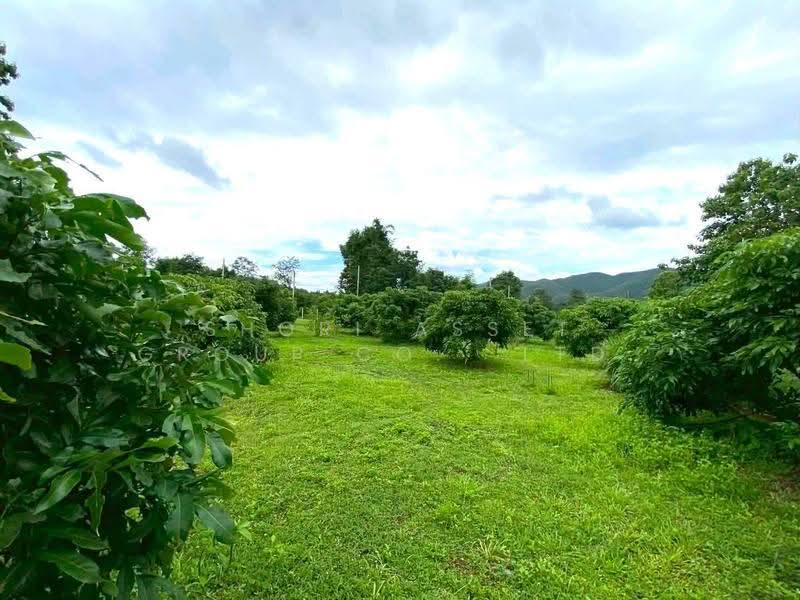 ที่ดินดอยสะเก็ด, เชียงใหม่, แม่โป่ง, ดอยสะเก็ด, เชียงใหม่, 5,412 ตร.ม., Land ขาย, โดย Shori Asset Group Co., Ltd., 500517560 - DDproperty.com