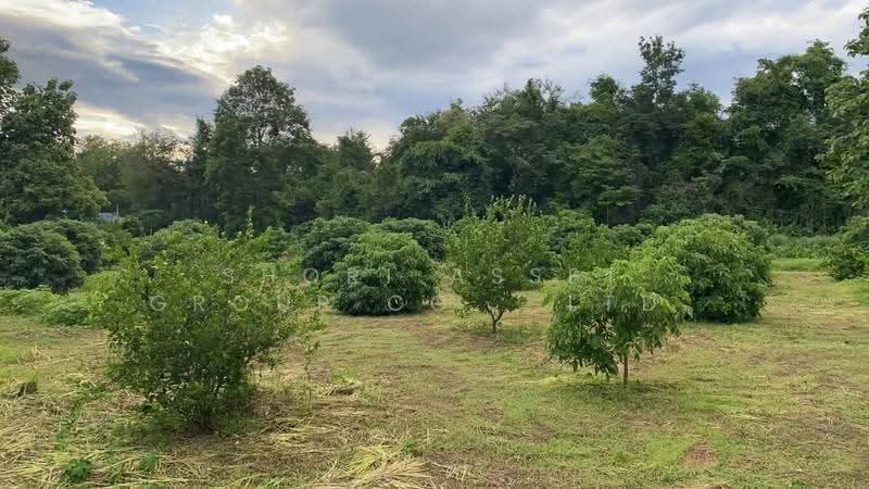 Land in Doi Saket, Chiang Mai, Mae Pong, Doi Saket, Chiang Mai, , 5,412 sqm, Land For Sale, by Shori Asset Group Co., Ltd., 500517560 - DDproperty.com