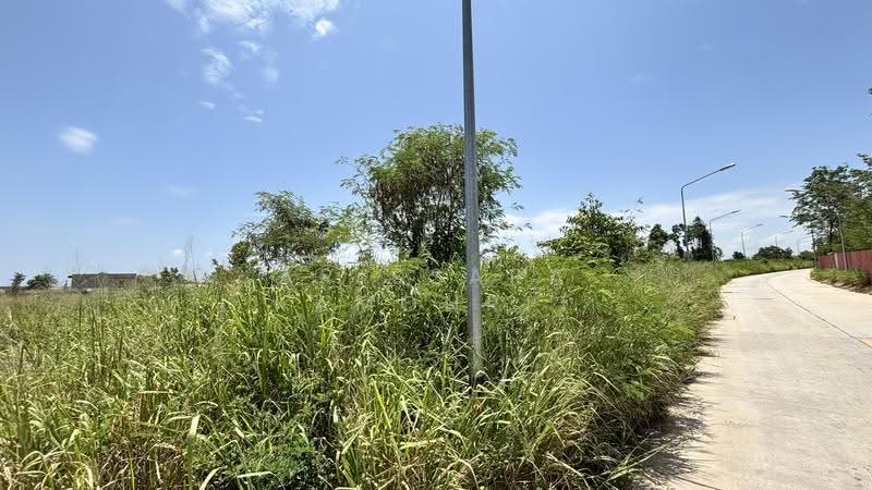 Large Land Plot for Sale – Nong Pla Lai, Pattaya, Chon Buri (Pattaya), Nong Pla Lai, Bang Lamung (Pattaya), Chon Buri (Pattaya), , 7,720 sqm, Land For Sale, by Arissara Kamonrit, 500517562 - DDproperty.com