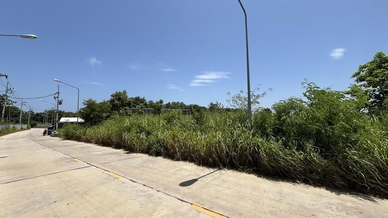 Large Land Plot for Sale – Nong Pla Lai, Pattaya, Chon Buri (Pattaya), Nong Pla Lai, Bang Lamung (Pattaya), Chon Buri (Pattaya), , 7,720 sqm, Land For Sale, by Arissara Kamonrit, 500517562 - DDproperty.com