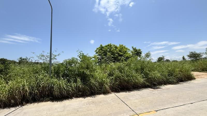 Large Land Plot for Sale – Nong Pla Lai, Pattaya, Chon Buri (Pattaya), Nong Pla Lai, Bang Lamung (Pattaya), Chon Buri (Pattaya), , 7,720 sqm, Land For Sale, by Arissara Kamonrit, 500517562 - DDproperty.com