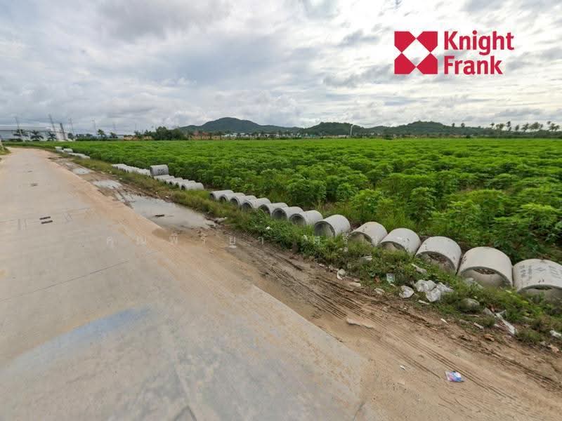 ตรงข้ามนิคมปิ่นทอง 4 อำเภอบางละมุง จังหวัดชลบุรี, Chon Buri (Pattaya), Bang Lamung, Bang Lamung (Pattaya), Chon Buri (Pattaya), , 123,764 sqm, Land For Sale, by คุณพิริยา ศรีส่วน, 500517596 - DDproperty.com