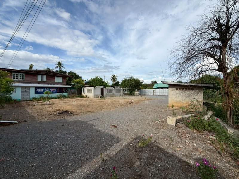 ที่ดินอู่ทอง, สุพรรณบุรี, มาลัยแมน, จรเข้สามพัน, อู่ทอง, สุพรรณบุรี, 742 ตร.ม., ที่ดิน ขาย, โดย คุณน้อง เกรทเทสต์, 500517607 - DDproperty.com