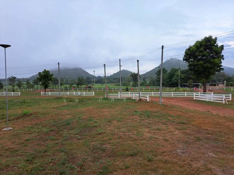 ที่ดิน ไร่รุ่งอรุณ สุพรรณบุรี, สุพรรณบุรี, ถนน ทางหลวงชนบท 3026, หนองกระทุ่ม, เดิมบางนางบวช, สุพรรณบุรี, 1,600 ตร.ม., ที่ดิน ขาย, โดย จุ๋ม ภัสร์นลิน, 500517623 - DDproperty.com