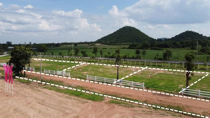 ที่ดิน ไร่รุ่งอรุณ สุพรรณบุรี, สุพรรณบุรี, ถนน ทางหลวงชนบท 3026, หนองกระทุ่ม, เดิมบางนางบวช, สุพรรณบุรี, 1,600 ตร.ม., ที่ดิน ขาย, โดย จุ๋ม ภัสร์นลิน, 500517623 - DDproperty.com