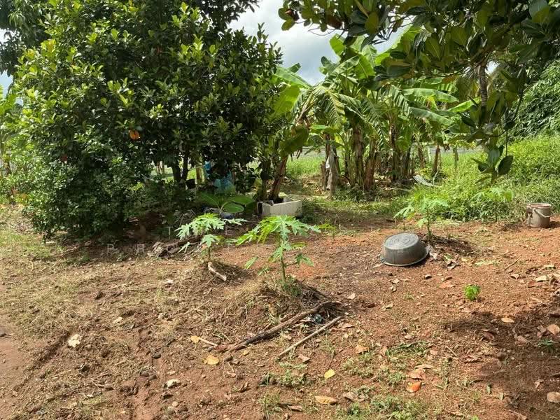 ที่ดินท่าเสา อุตรดิตถ์, Uttaradit, Tha Sao, Muang Uttaradit, Uttaradit, , 340 sqm, Land For Sale, by The Best Property นิด, 500517628 - DDproperty.com