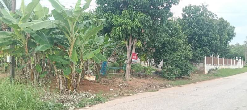 ที่ดินท่าเสา อุตรดิตถ์, อุตรดิตถ์, ท่าเสา, เมืองอุตรดิตถ์, อุตรดิตถ์, 340 ตร.ม., ที่ดิน ขาย, โดย The Best Property นิด, 500517628 - DDproperty.com